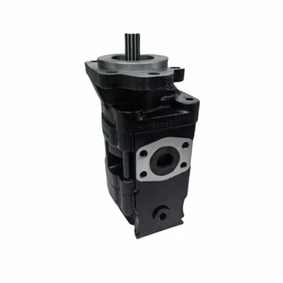 Casappa Double Gear Pump KP30.43 KP30.38